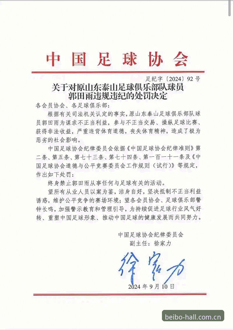 中国足协第三批禁足名单出炉：解读足球行业整治的实用指南